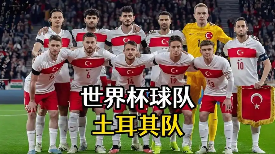 世界杯D组群雄逐鹿：土耳其新黄金一代争突围，四强混战悬念丛生